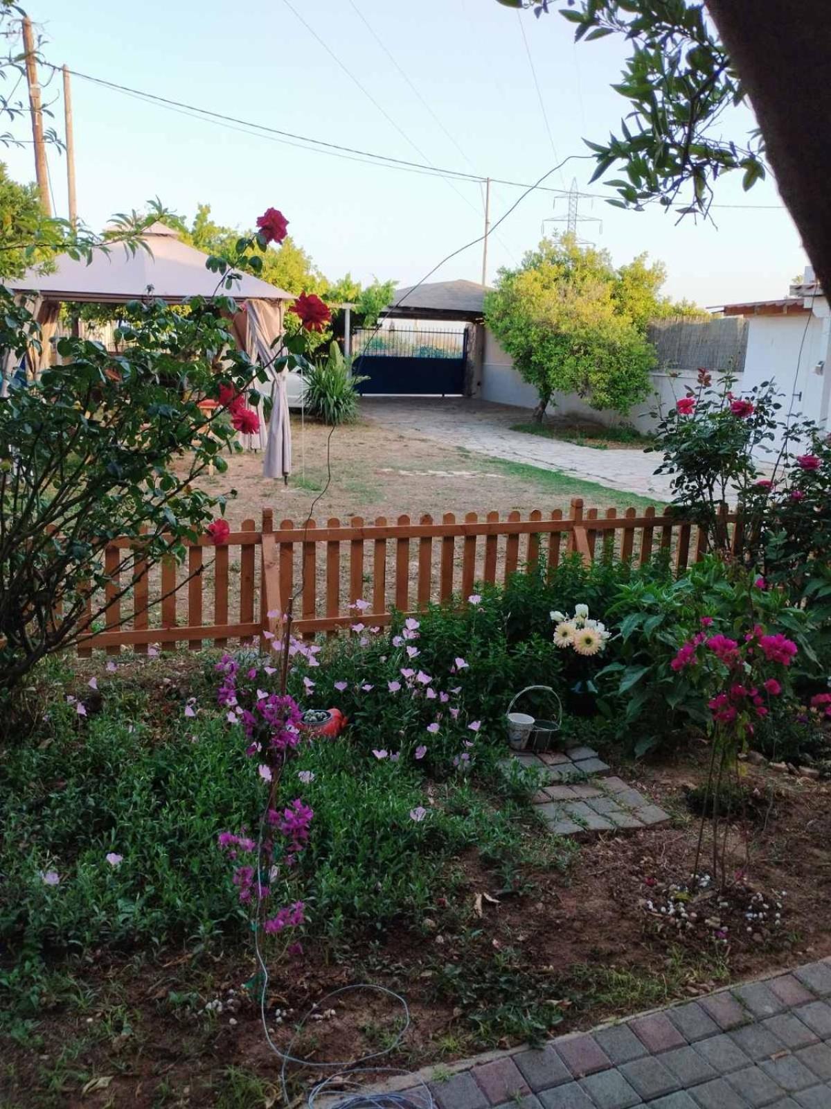 Floras House Apartment Nafplio Ngoại thất bức ảnh